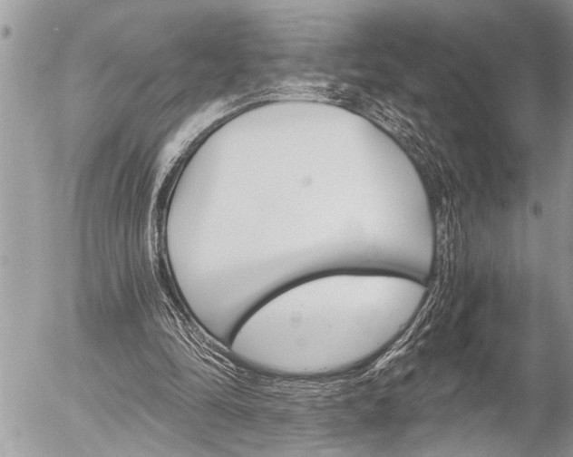 X0000058820294200509300922