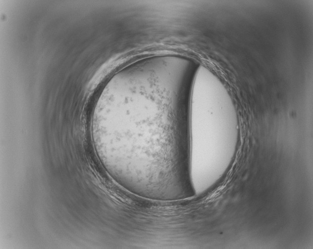 X0000058820295200509300922