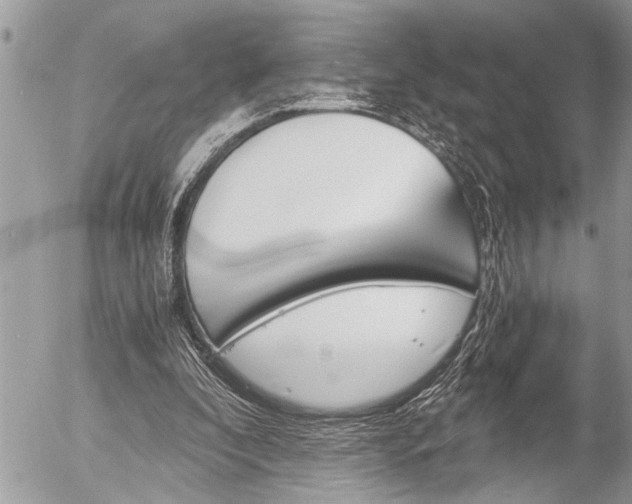 X0000058820296200509300922