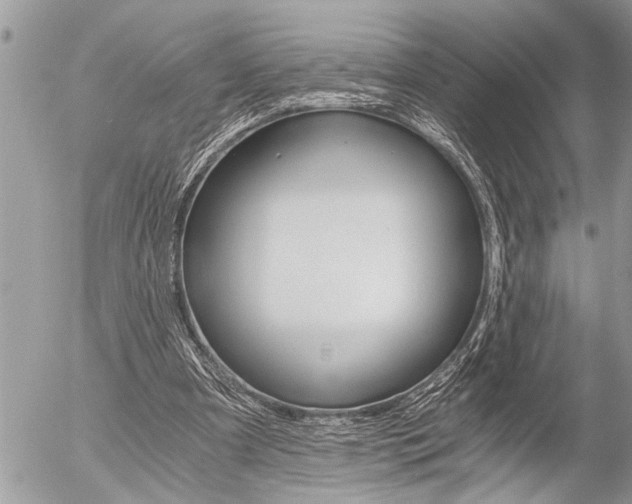 X0000058820297200509300922