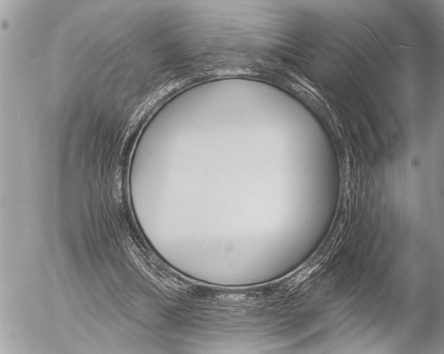 X0000058820298200509300922