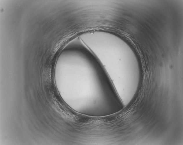 X0000058820299200509300922