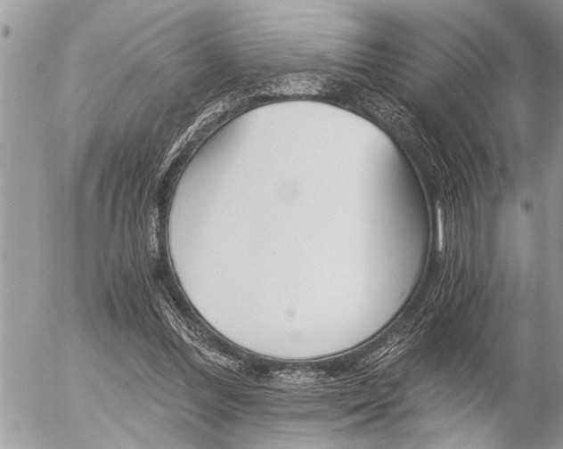 X0000058820300200509300922