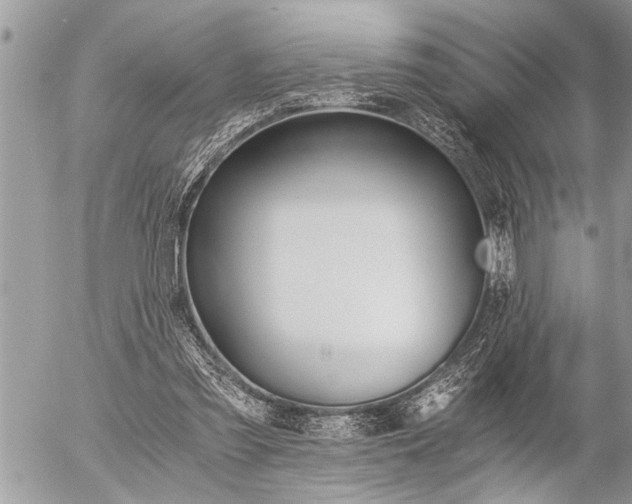 X0000058820301200509300922