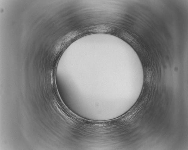 X0000058820302200509300922