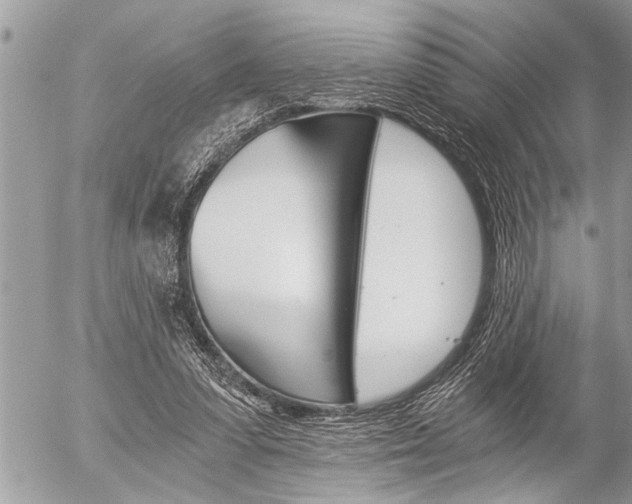 X0000058820303200509300922