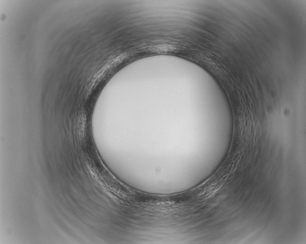 X0000058820304200509300922