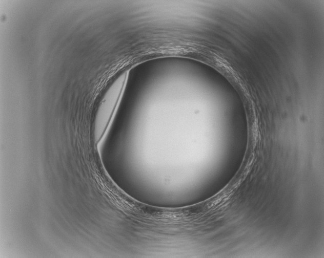 X0000058820305200509300922