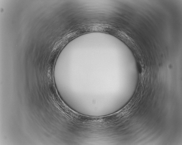 X0000058820306200509300922