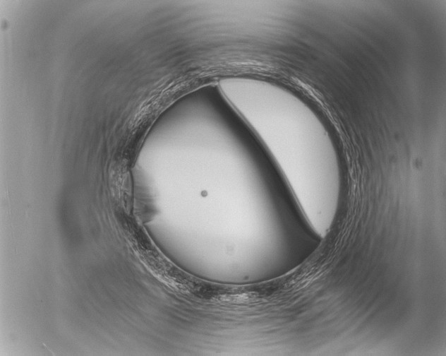 X0000058820307200509300922