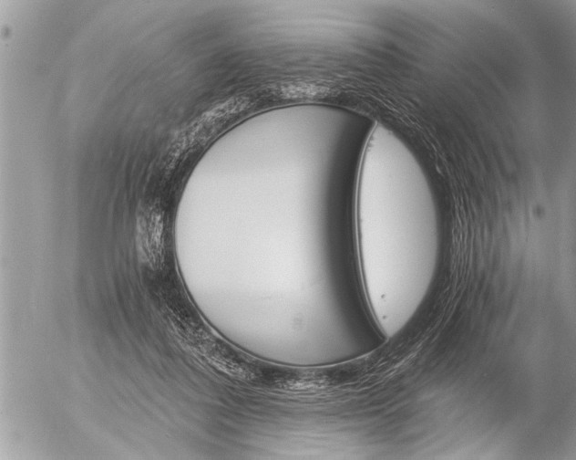 X0000058820308200509300922