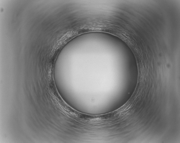 X0000058820309200509300922