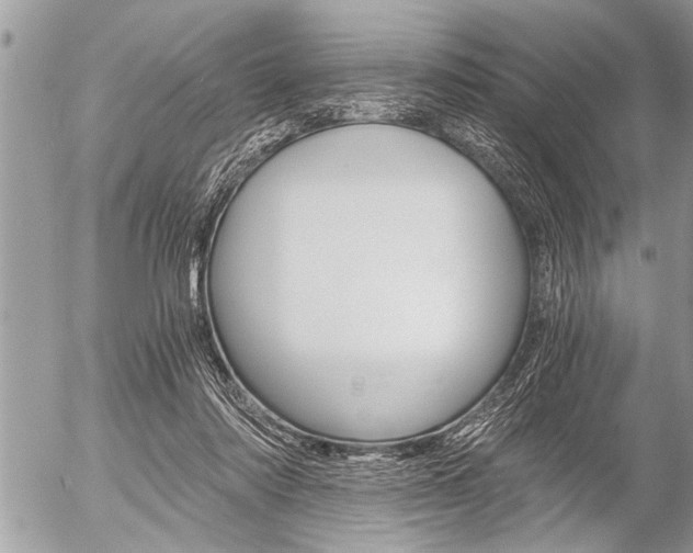 X0000058820310200509300922