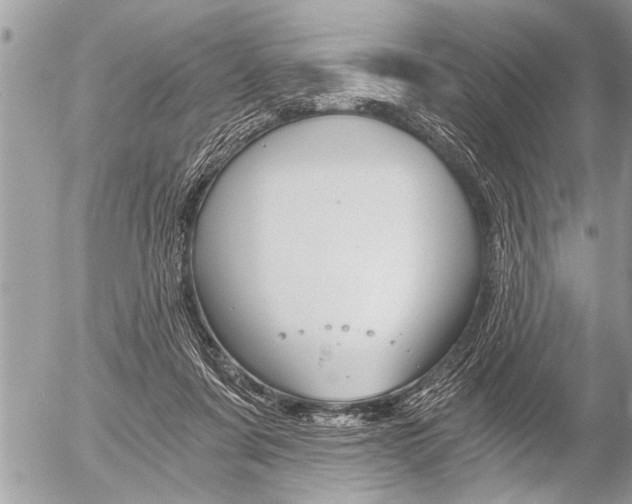 X0000058820311200509300922