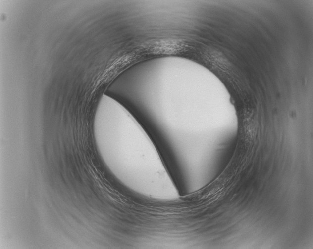 X0000058820312200509300922