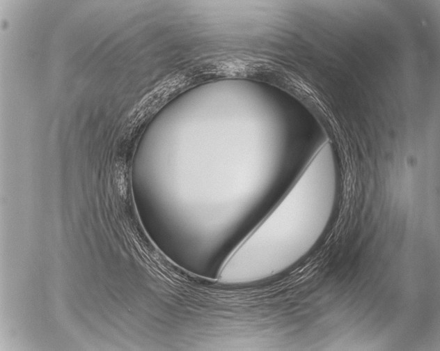 X0000058820313200509300922