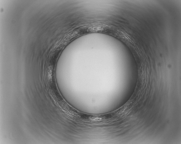 X0000058820315200509300922