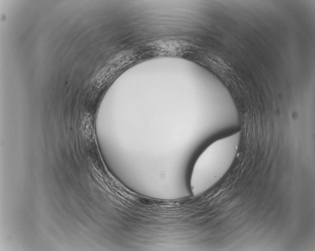 X0000058820318200509300922