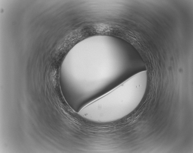 X0000058820319200509300922