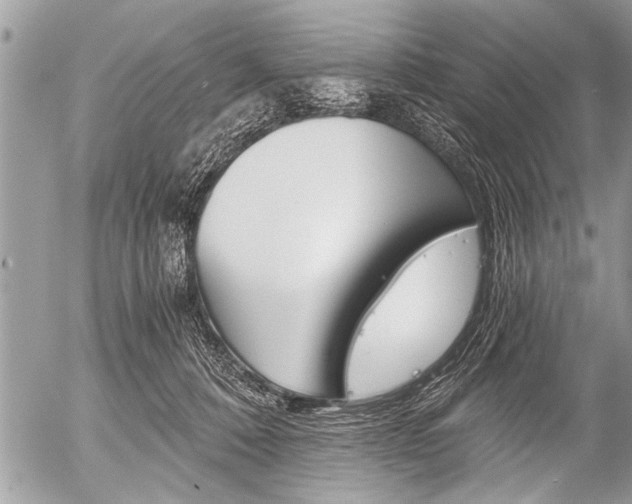 X0000058820320200509300922