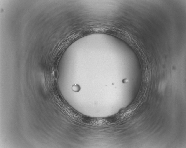 X0000058820321200509300922