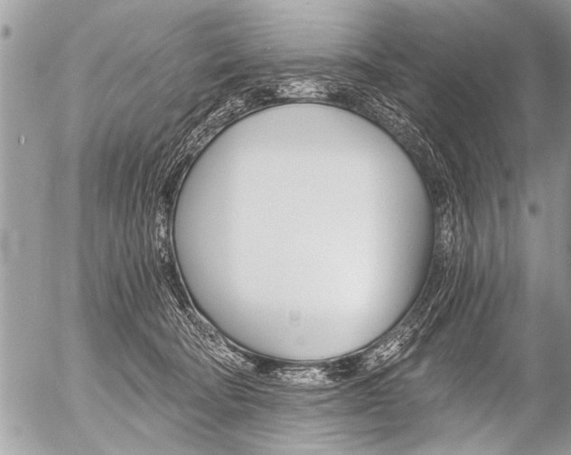 X0000058820322200509300922