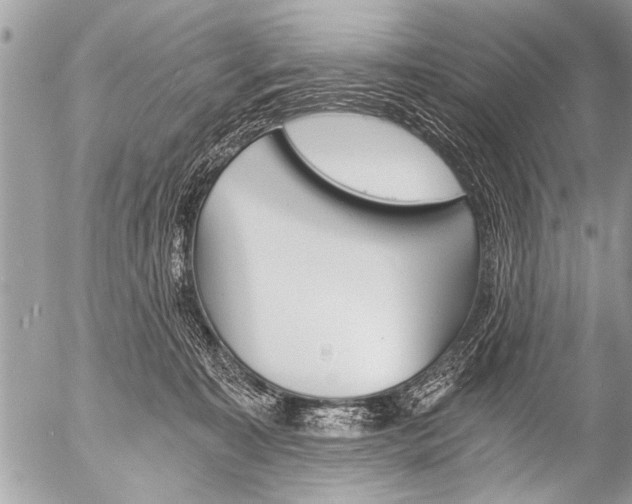 X0000058820323200509300922