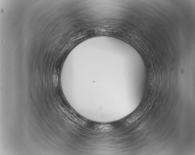 X0000058820324200509300922