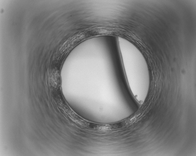 X0000058820325200509300922