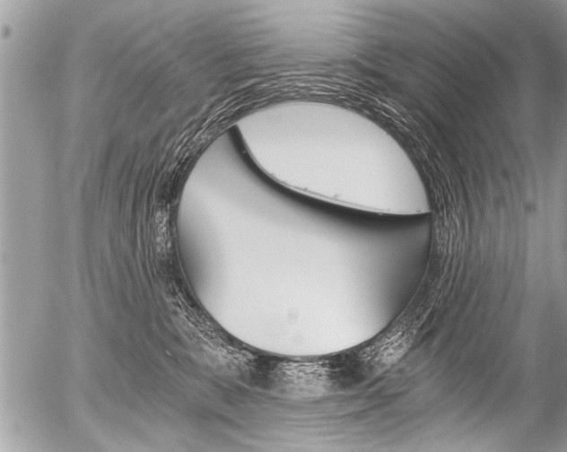 X0000058820327200509300922