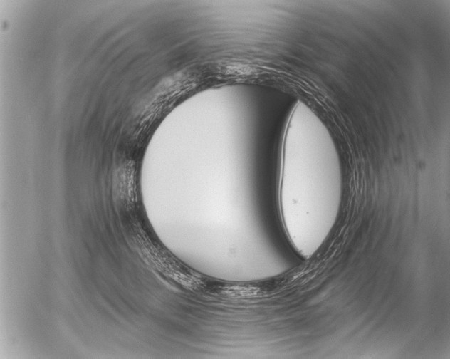 X0000058820328200509300922