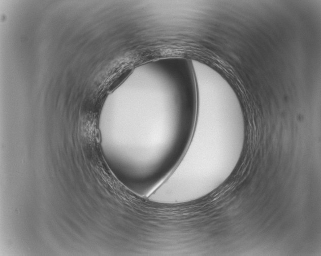 X0000058820329200509300922