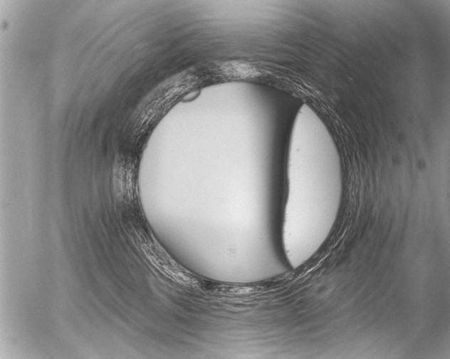 X0000058820330200509300922