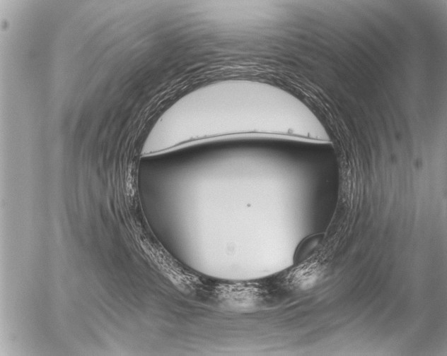 X0000058820331200509300922