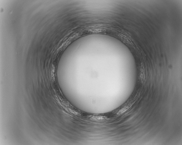 X0000058820332200509300922