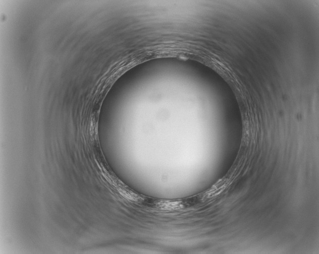 X0000058820333200509300922