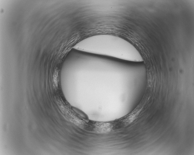 X0000058820334200509300922