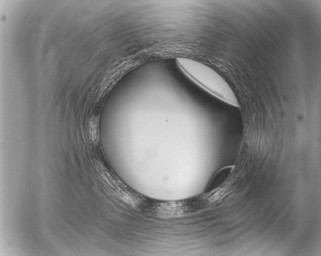 X0000058820335200509300922