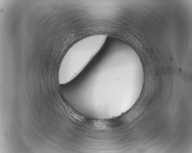 X0000058820336200509300922