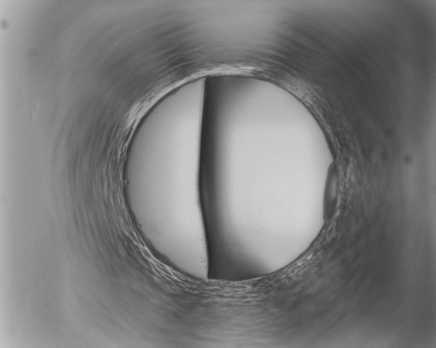 X0000058820337200509300921