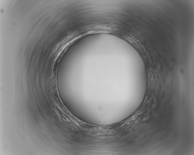 X0000058820338200509300921