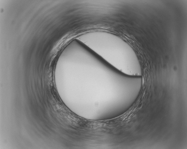 X0000058820339200509300921