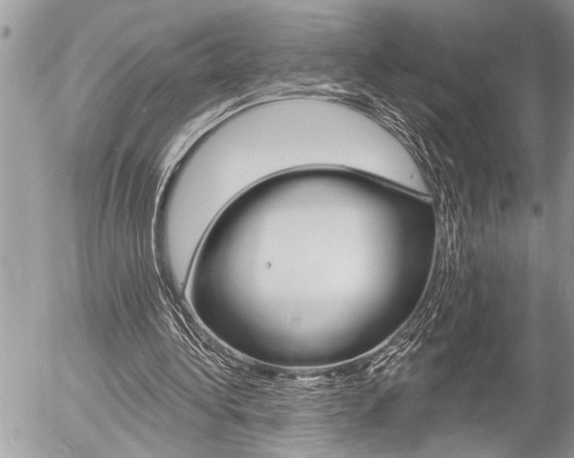 X0000058820340200509300921