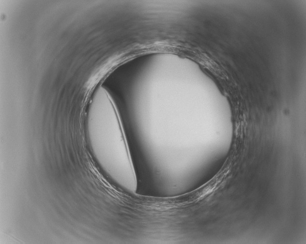 X0000058820341200509300921