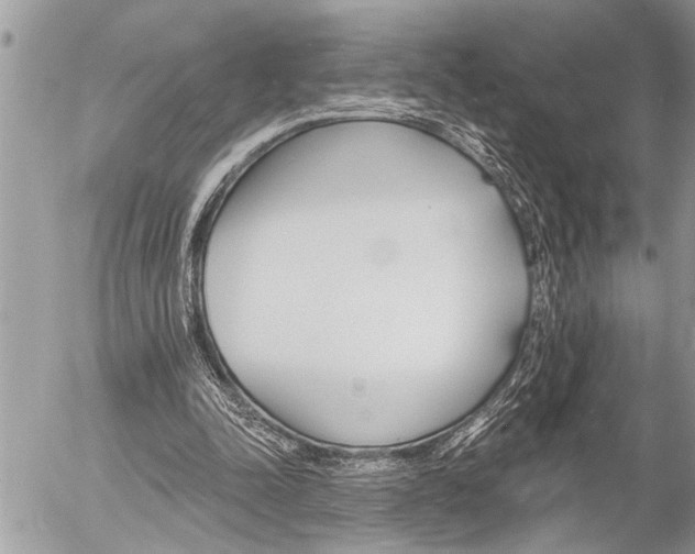 X0000058820342200509300921