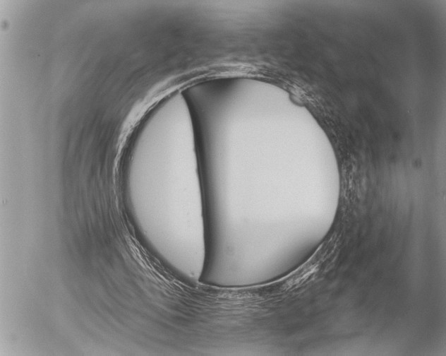 X0000058820343200509300921