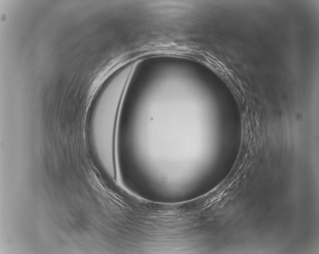 X0000058820344200509300921