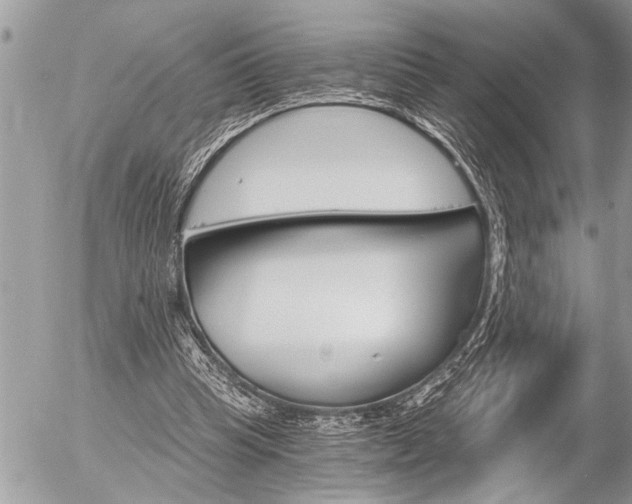 X0000058820345200509300921