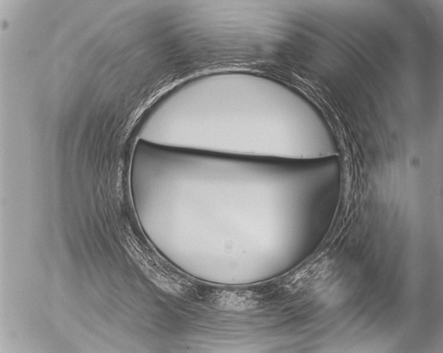 X0000058820346200509300921