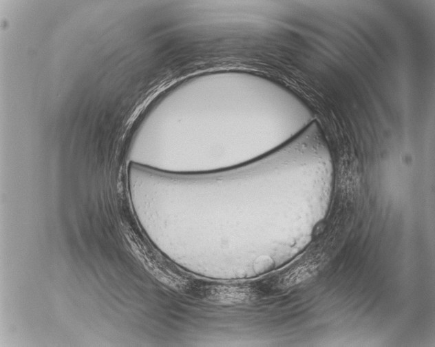 X0000058820347200509300921